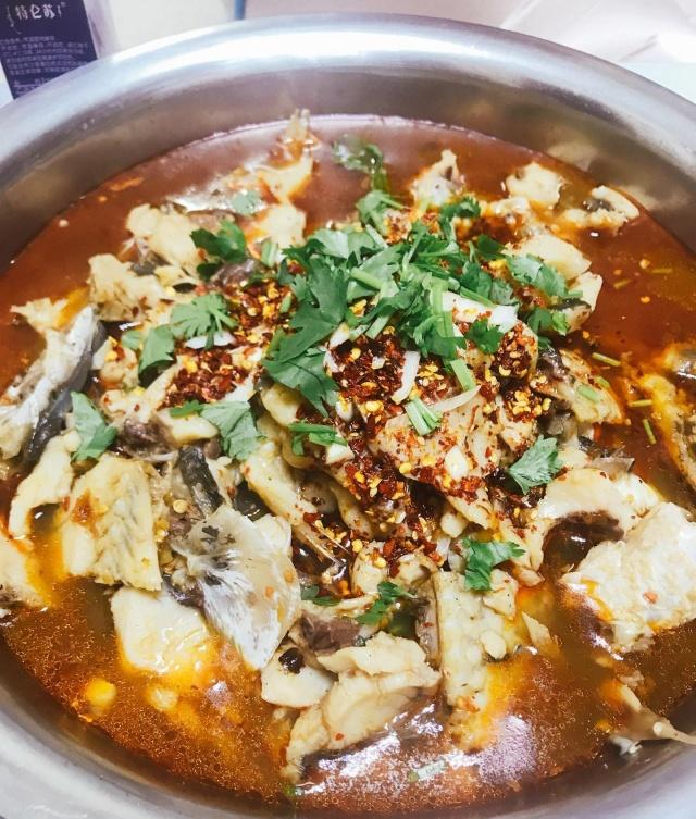 日式蛋滑：一份特别的宠物护理食谱